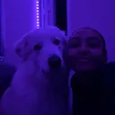 @gwenies.spam7