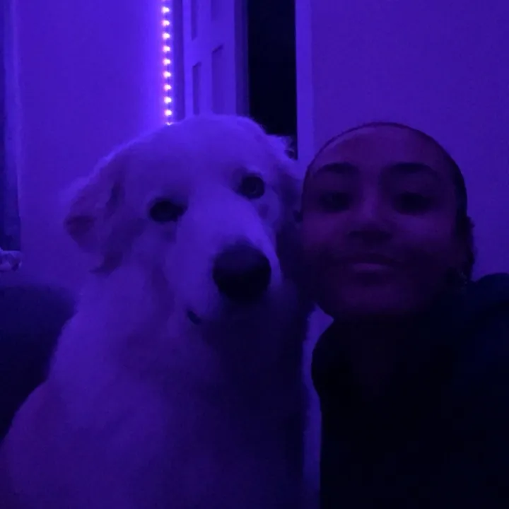@gwenies.spam7