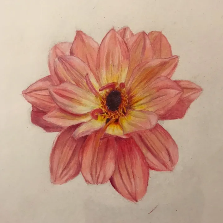 @_moa_art_