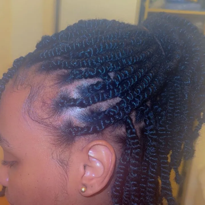 stylebyfecobraider
