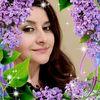 fatimamesdaq
