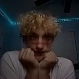 anaseditaudios