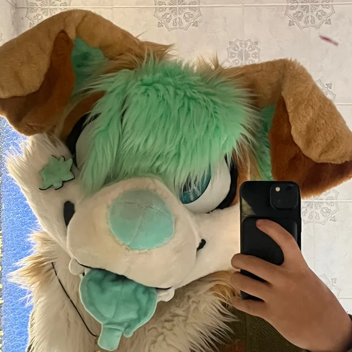 @maple_up