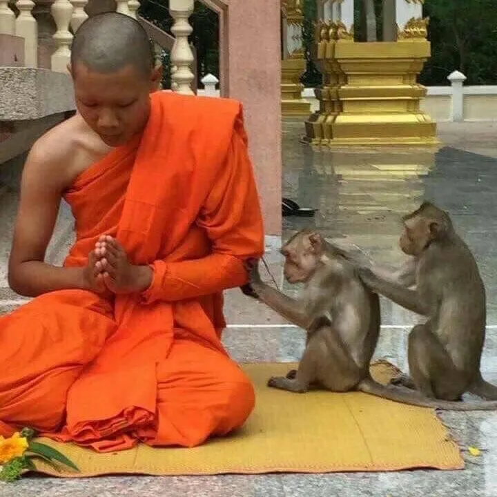 @moskuliar