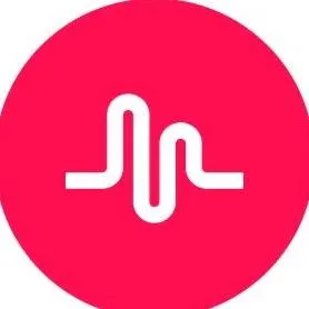 musically_vibeees