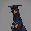 @_doberman_bruno_