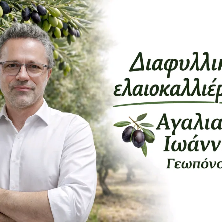 agalianos_elaiokaliergia