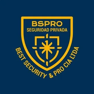 @bspro_security