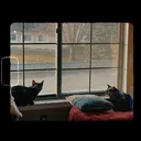 @sherrykhopkins