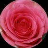 isxb3llx_grxce