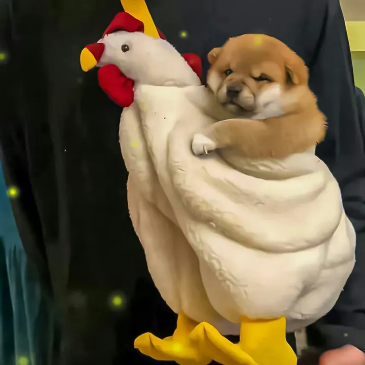 chvgfyagidu