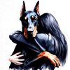 tasman_doberman_dog