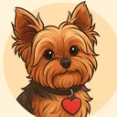 @chasetheyorkie