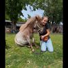 hotsaucetheminihorse