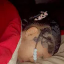 @trueloyalty101