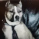 @voodoodoodoo