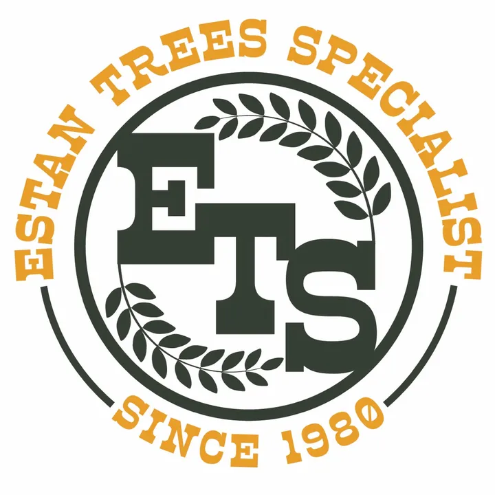 estantreespecialist