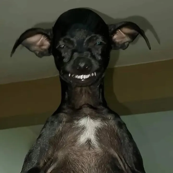 userajtxio1beb