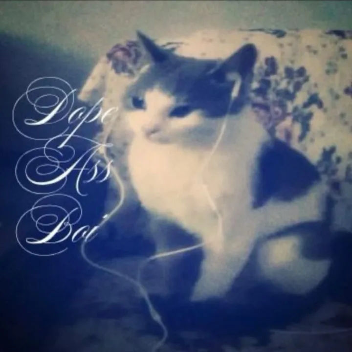 vinilyl