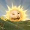 llllvvvaa