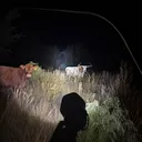 @countryroots_6_7_