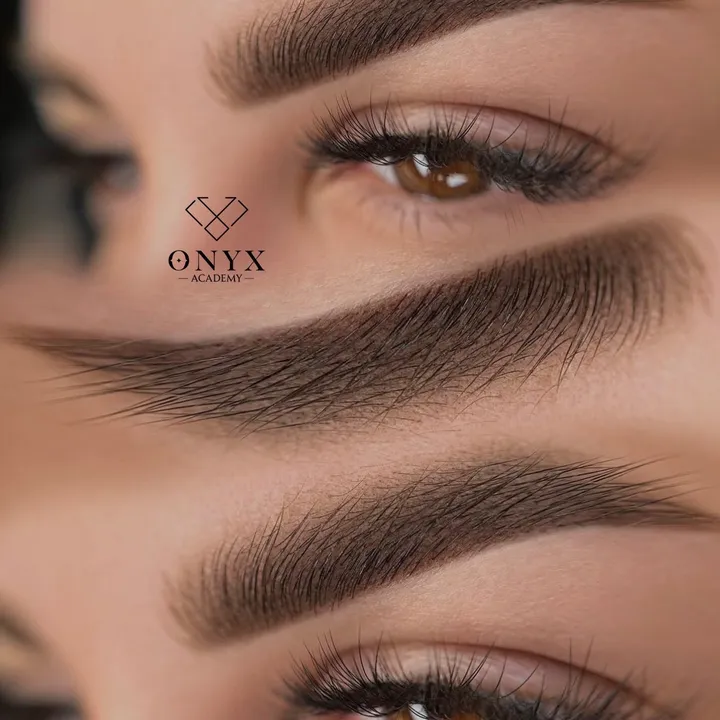 onyx.pmu.academy