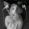 kuplet_muzik