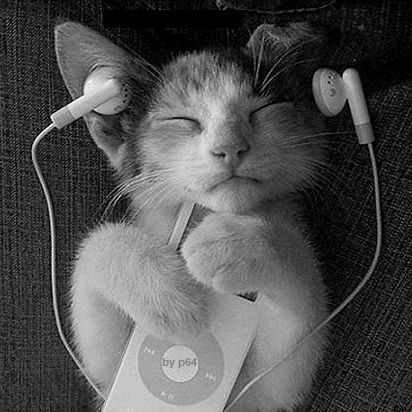 #Куплетик# - original sound
