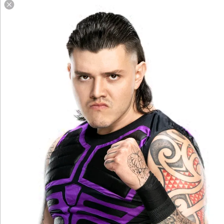 fan_lucha_wwe