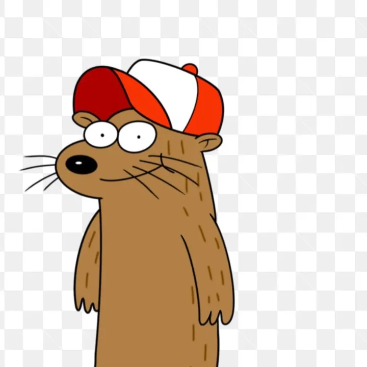 @thatscooldudethatscool