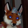 cindyfox_safirafox