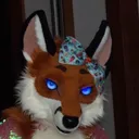 @cindyfox_safirafox