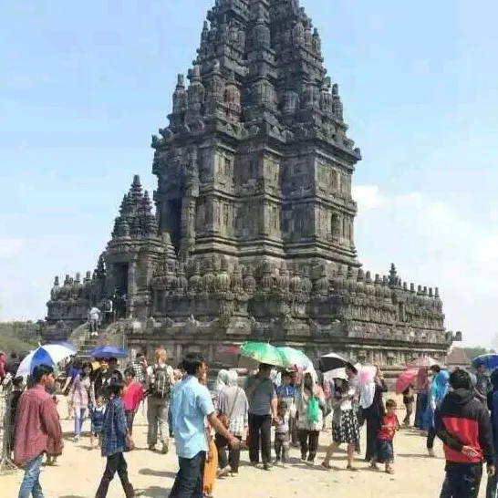 _3431160
