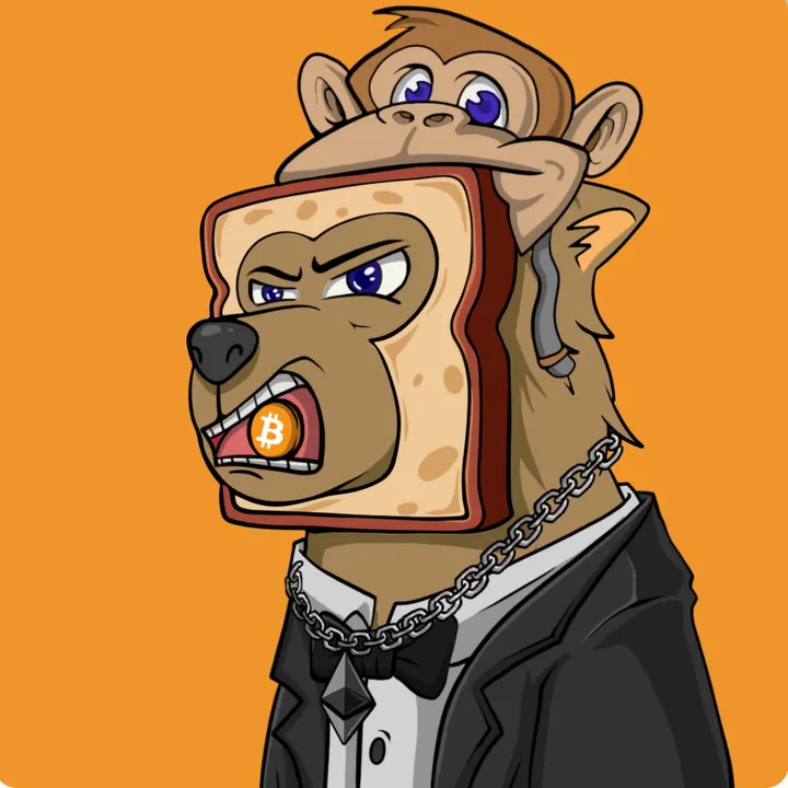 boggycoinsol