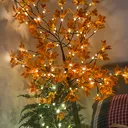 @tross_tree