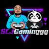 scjgaminggg