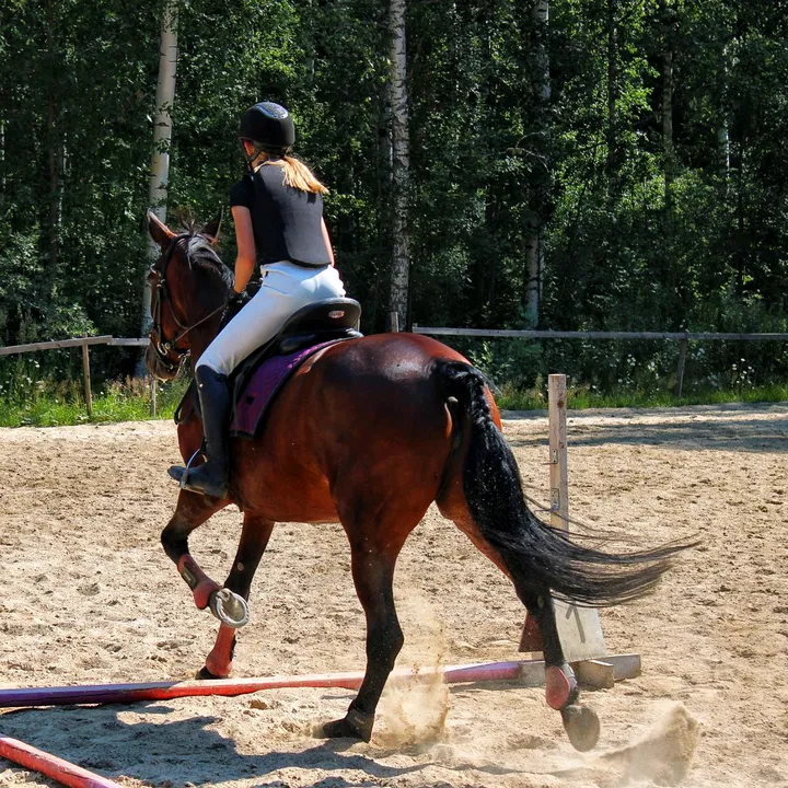 @equestrian_s.l