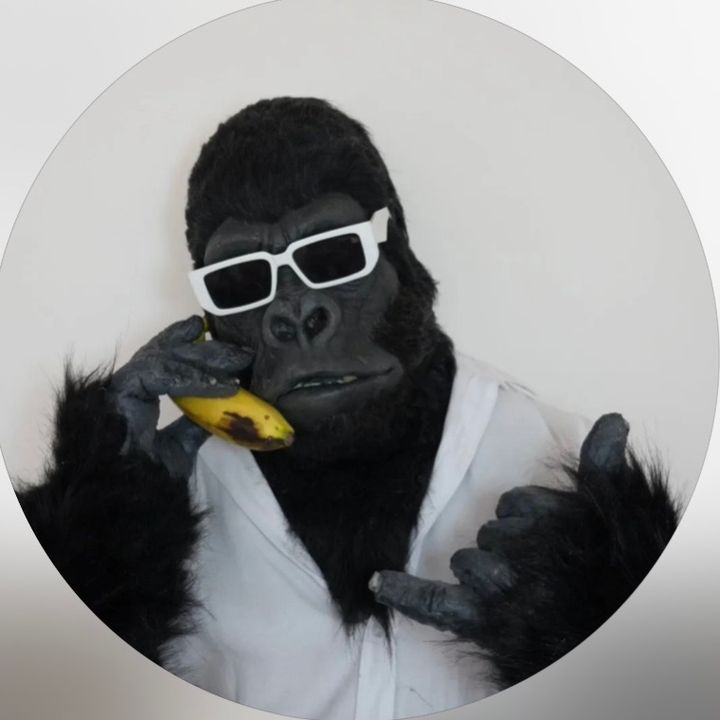 GORILLANONYMOUS 🦍 - original sound