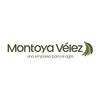 montoyavelezsas