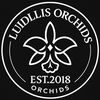 luigiorchids