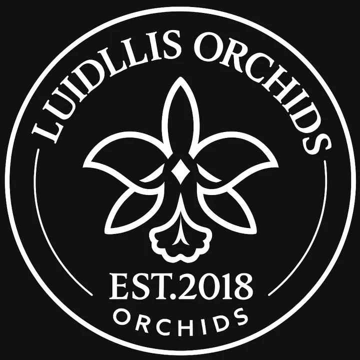 luigiorchids