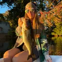 @bigbassgirl