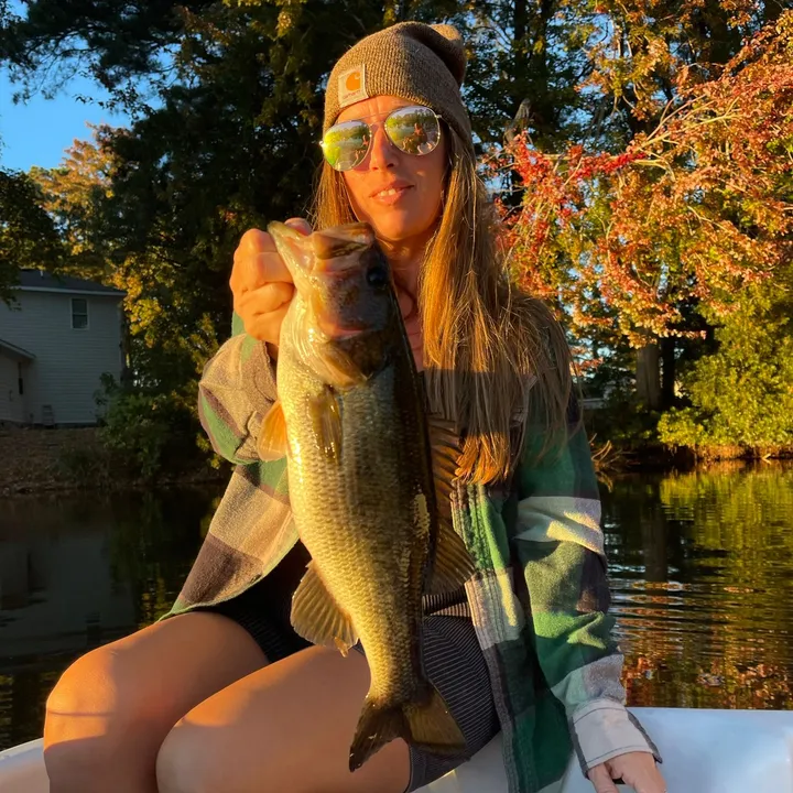 @bigbassgirl