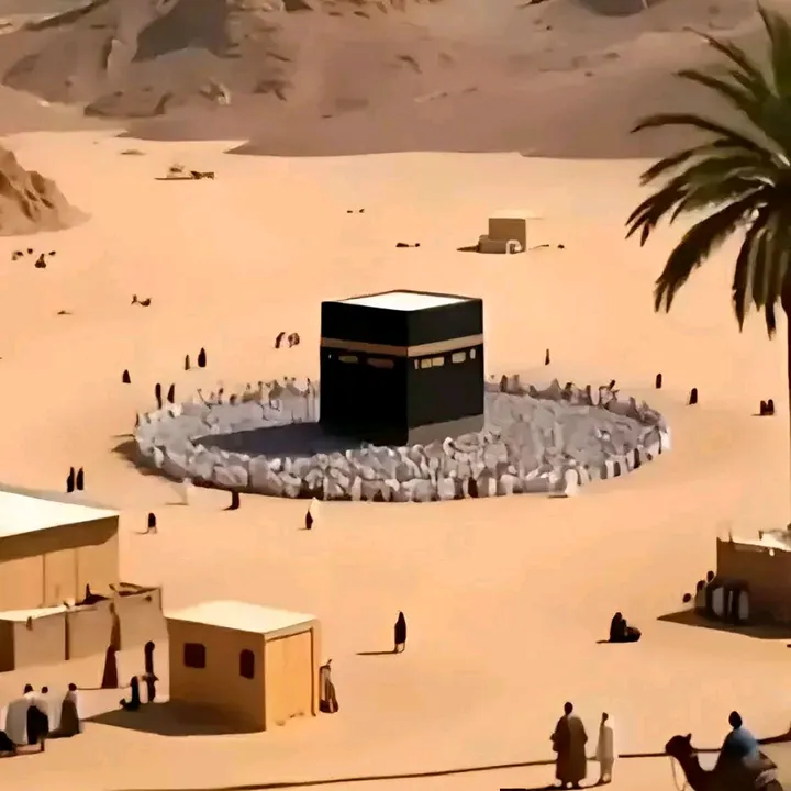 @ibrahimbagwan906