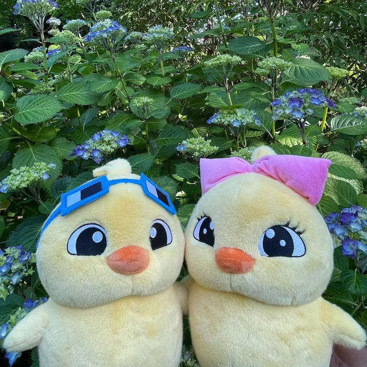 meetquacklives
