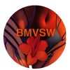 bmvsw