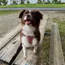 @dale.co.unleashed