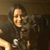 rescuedogs911