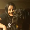 @rescuedogs911