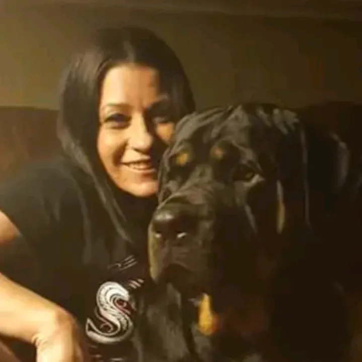 rescuedogs911